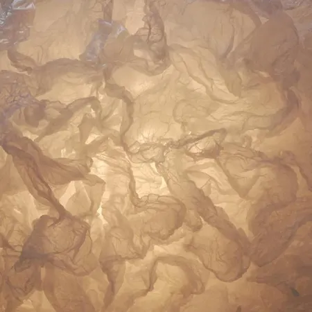 里尔a区 - 城市别墅公寓 公寓 里尔