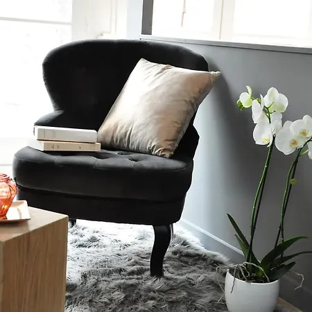 公寓 里尔a区 - 城市别墅公寓 里尔