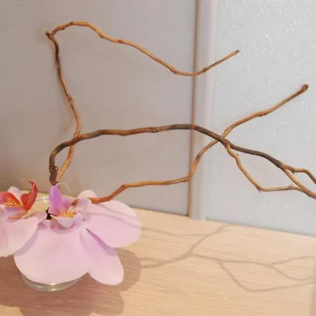 Appartement A Part - Urbains *