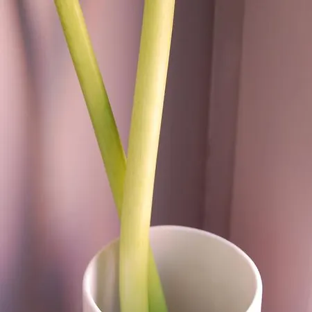 Appartement A Part - Urbains