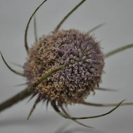 Appartement A Part - Urbains