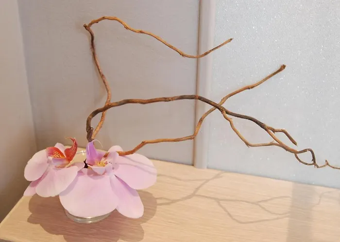 公寓 里尔a区 - 城市别墅公寓 *