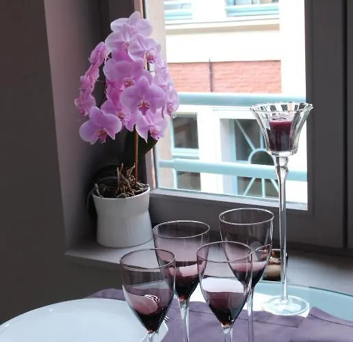 公寓 里尔a区 - 城市别墅公寓 里尔