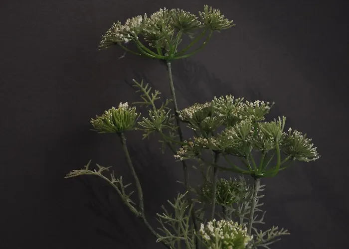 里尔a区 - 城市别墅公寓